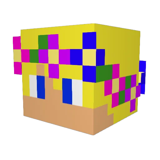 RadicalSocialist Minecraft avatar head, 3D render