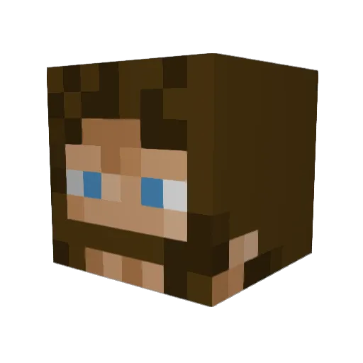 Radicalz_16 Minecraft avatar head, 3D render