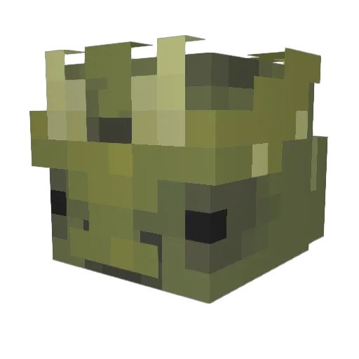 RadicoolDuck Minecraft avatar head, 3D render