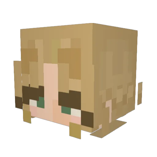 Radidadical Minecraft avatar head, 3D render