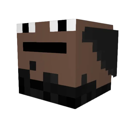 Radin999 Minecraft avatar head, 3D render