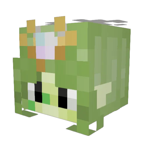 Radio64 Minecraft avatar head, 3D render