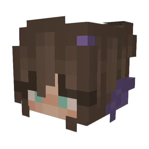 RadioActive5502 Minecraft avatar head, 3D render