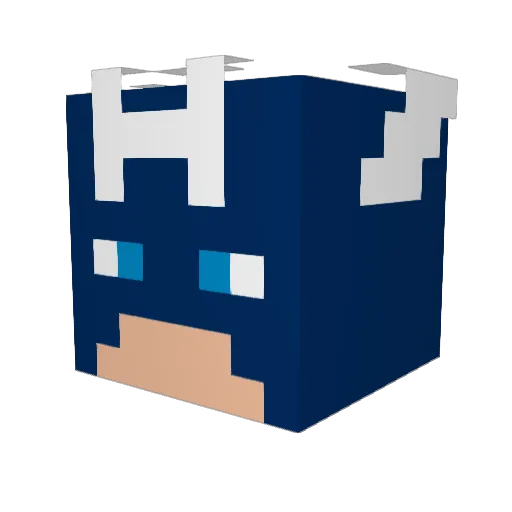 RadioActiveGuy15 Minecraft avatar head, 3D render