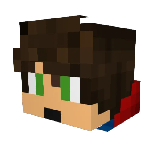 RadioAssasin9 Minecraft avatar head, 3D render