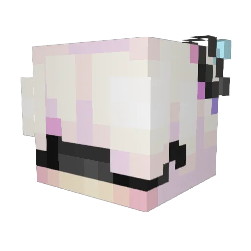 RadioJhBeth Minecraft avatar head, 3D render