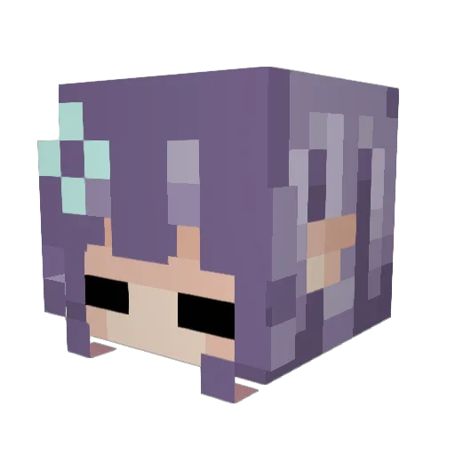 RadioNoise77 Minecraft avatar head, 3D render