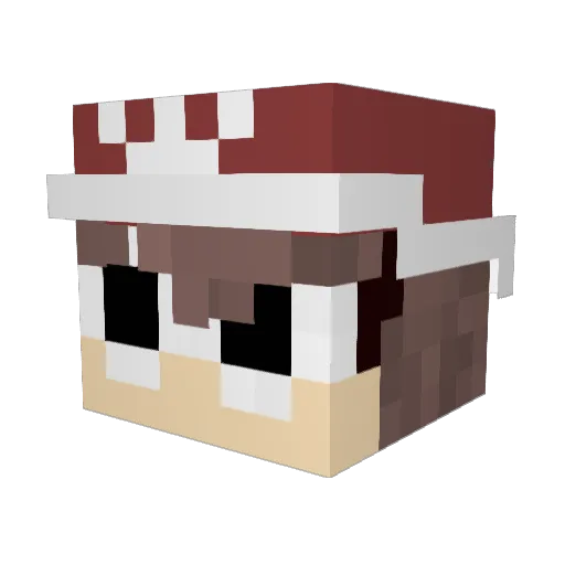 RadioRonn Minecraft avatar head, 3D render