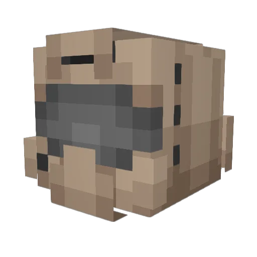 RadioShotty Minecraft avatar head, 3D render