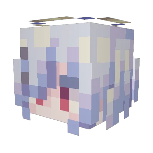 Radio_R Minecraft avatar head, 3D render