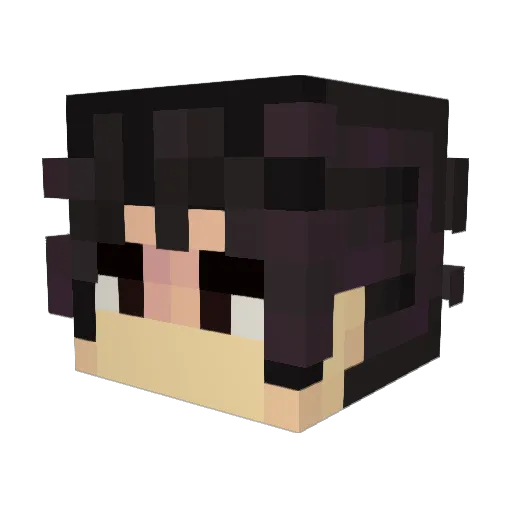 Radioactive549 Minecraft avatar head, 3D render