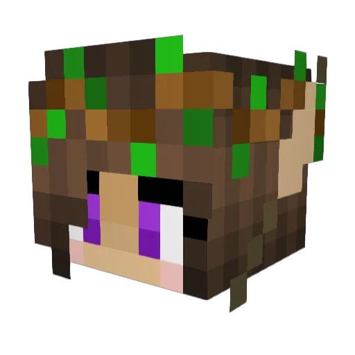 RadioactiveDuck Minecraft avatar head, 3D render