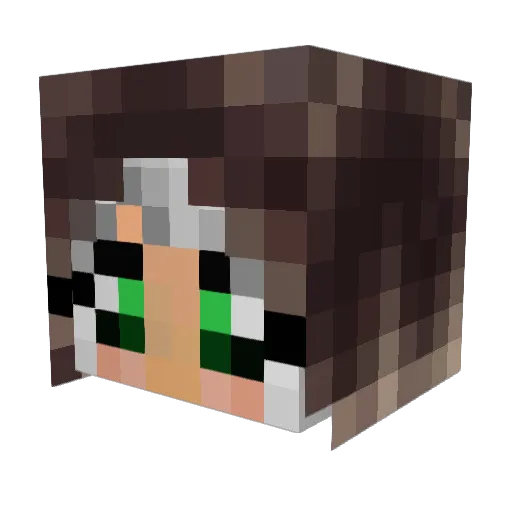 RadioactiveRou Minecraft avatar head, 3D render