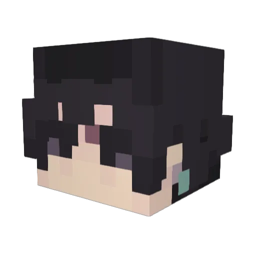 Radioactive_Me Minecraft avatar head, 3D render