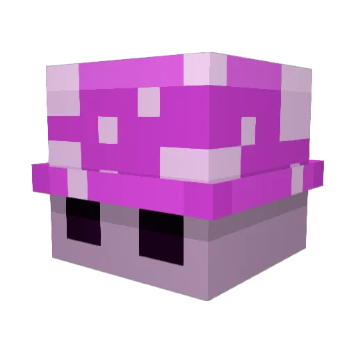 Radioplace Minecraft avatar head, 3D render