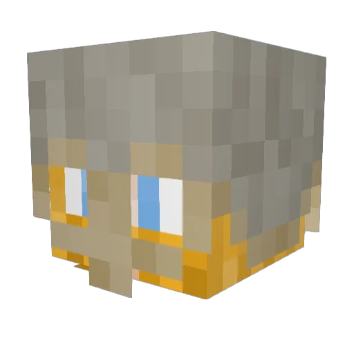 Radioraider Minecraft avatar head, 3D render