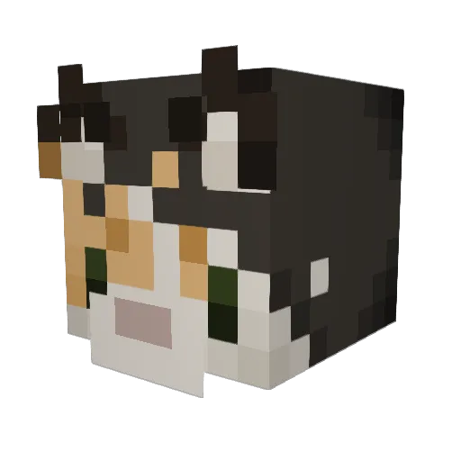 RadishSprouts Minecraft avatar head, 3D render