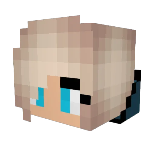 Raditoit Minecraft avatar head, 3D render