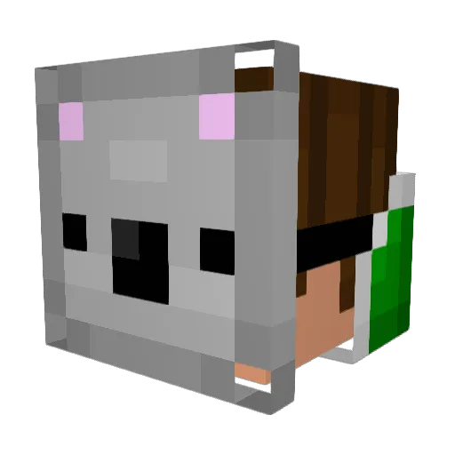 Radius47 Minecraft avatar head, 3D render