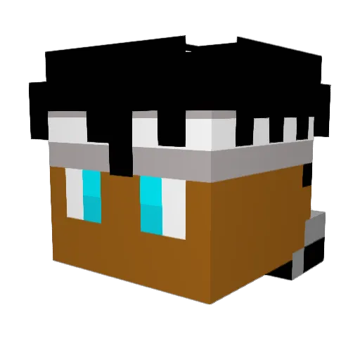 RadixGYT Minecraft avatar head, 3D render