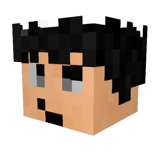 Radlafu Minecraft avatar head, 3D render