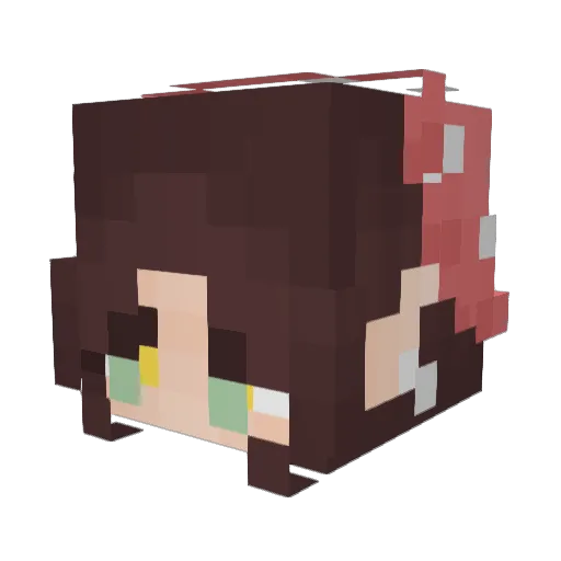 Radmad06 Minecraft avatar head, 3D render