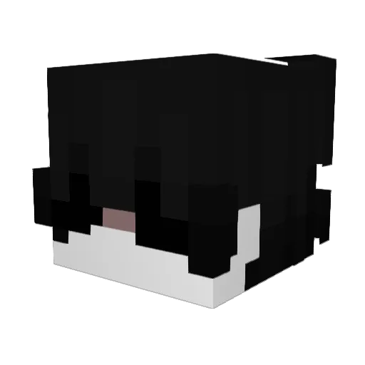 Radnita Minecraft avatar head, 3D render