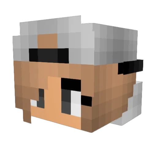 Radonix Minecraft avatar head, 3D render