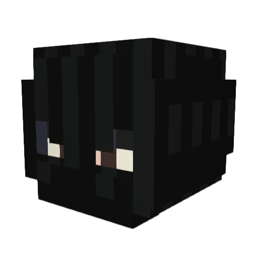 RadovoyZalupa Minecraft avatar head, 3D render