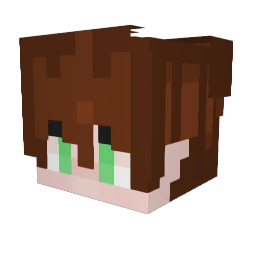 Radsche1609 Minecraft avatar head, 3D render