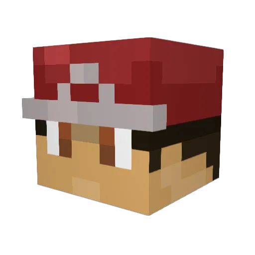 Radtadmadbad Minecraft avatar head, 3D render