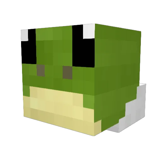 Radti Minecraft avatar head, 3D render
