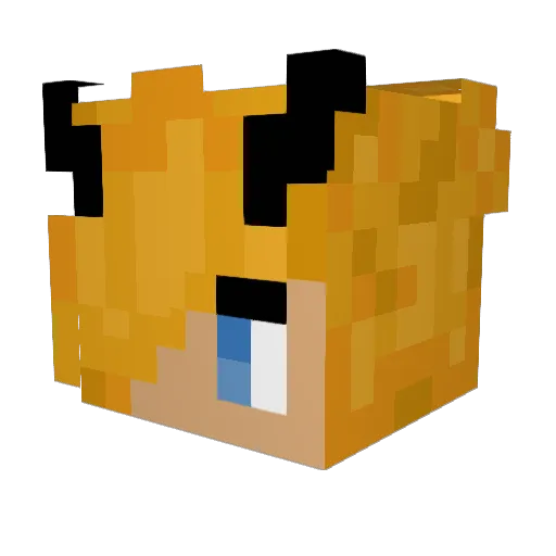 Raduga987 Minecraft avatar head, 3D render