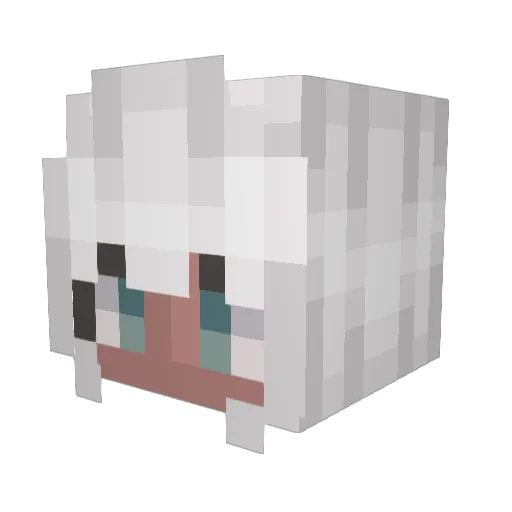 Raduim124 Minecraft avatar head, 3D render