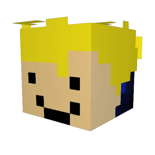 Rady_12 Minecraft avatar head, 3D render