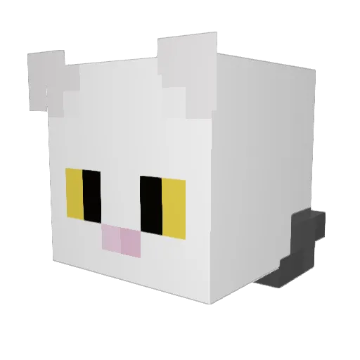 Radzik25 Minecraft avatar head, 3D render