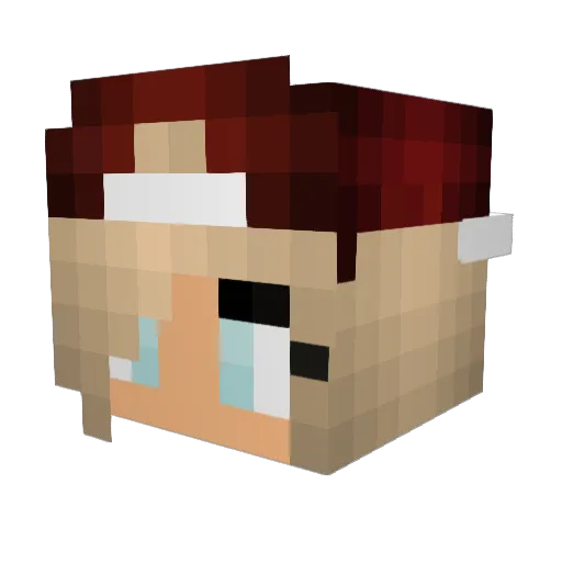 RaeBunny Minecraft avatar head, 3D render