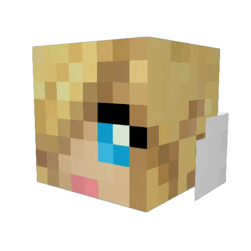 RaeCaffrey Minecraft avatar head, 3D render