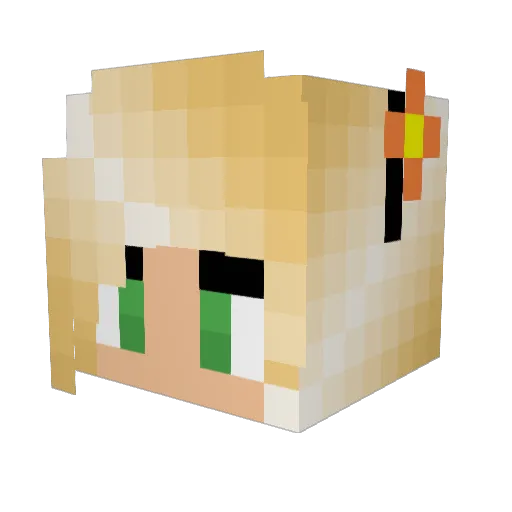 RaeLlama Minecraft avatar head, 3D render
