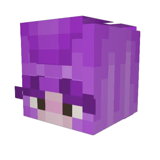 RaeRaeDaBandit Minecraft avatar head, 3D render