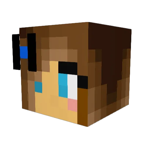 Rae_Ann Minecraft avatar head, 3D render