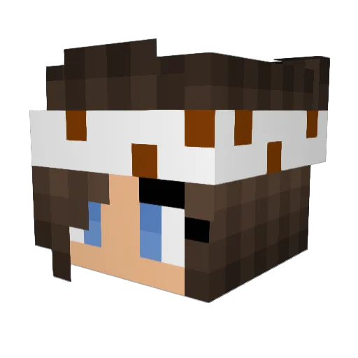 Raebanjo Minecraft avatar head, 3D render