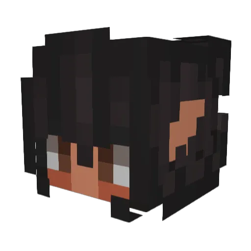 Raebeees Minecraft avatar head, 3D render