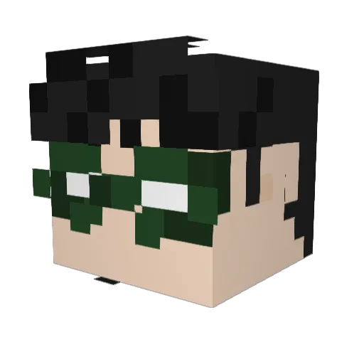 Raediowaves Minecraft avatar head, 3D render