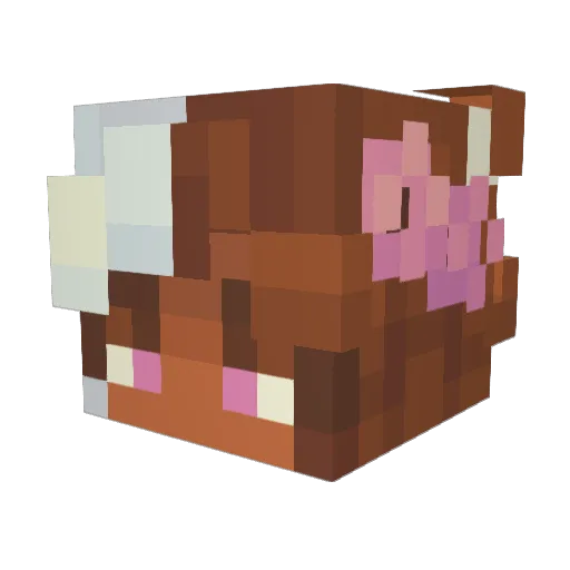 Raee_0 Minecraft avatar head, 3D render