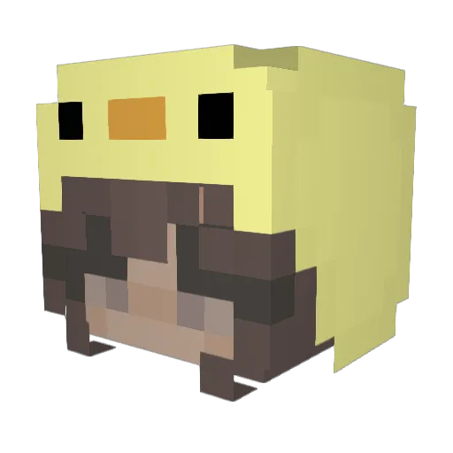 Raeesah Minecraft avatar head, 3D render