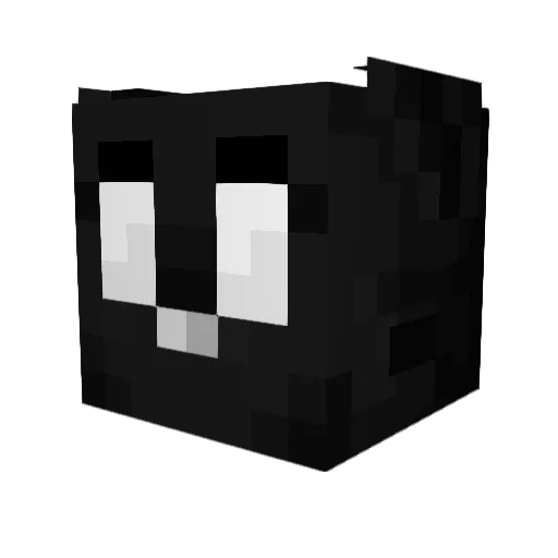 Raegal Minecraft avatar head, 3D render