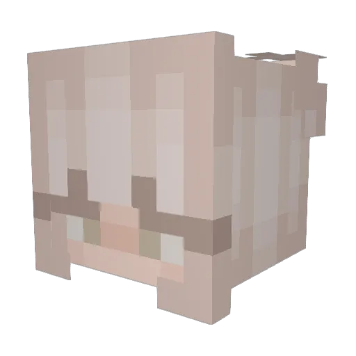 Raeharris10 Minecraft avatar head, 3D render