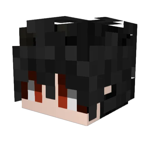 Raehoo Minecraft avatar head, 3D render