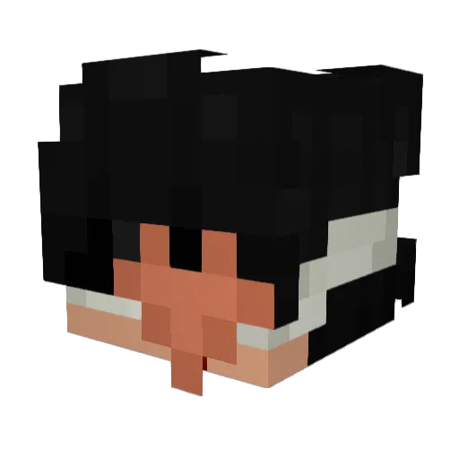 Raejy Minecraft avatar head, 3D render